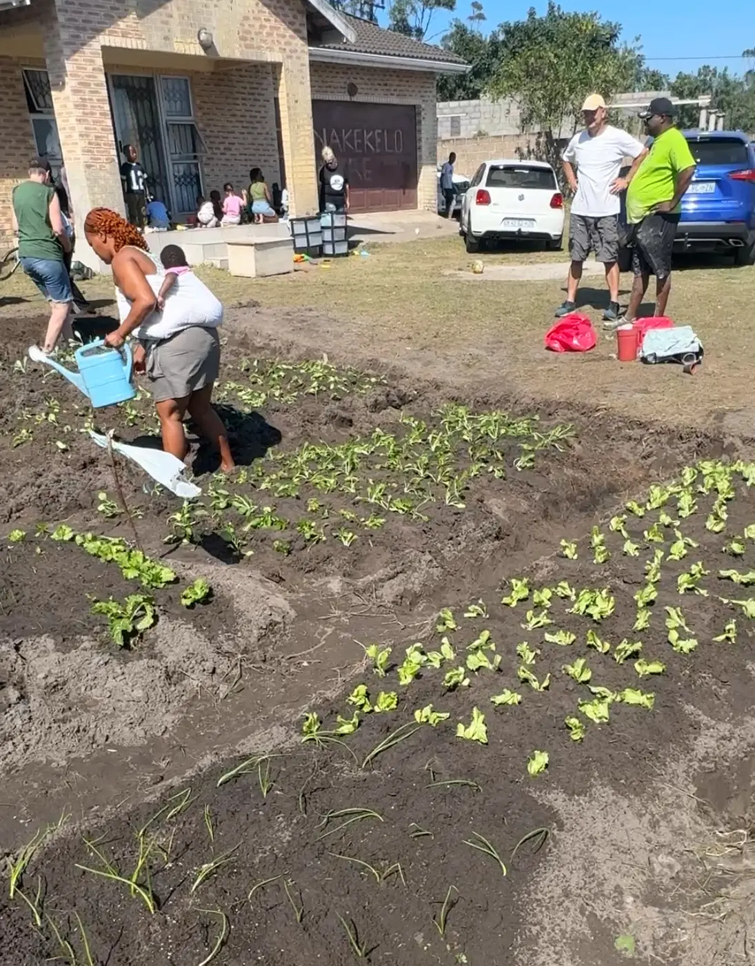 Hands in the soil, planting out the garden